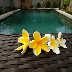 Eka Bali Ubud