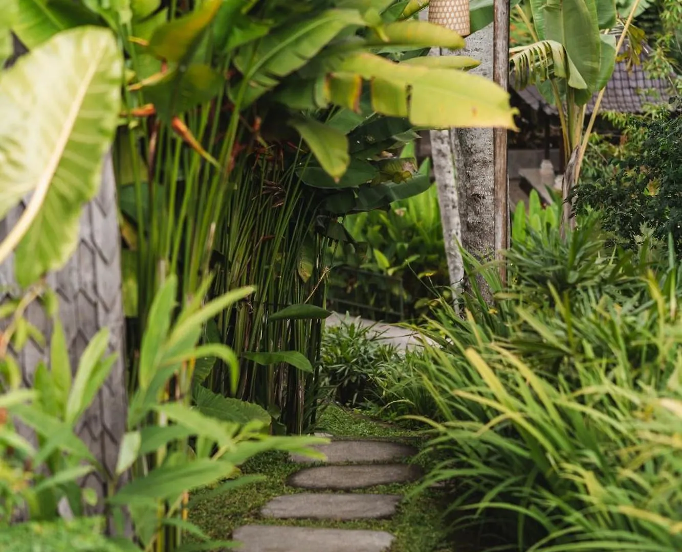Bed & Breakfast Lumeria Yoga Ubud